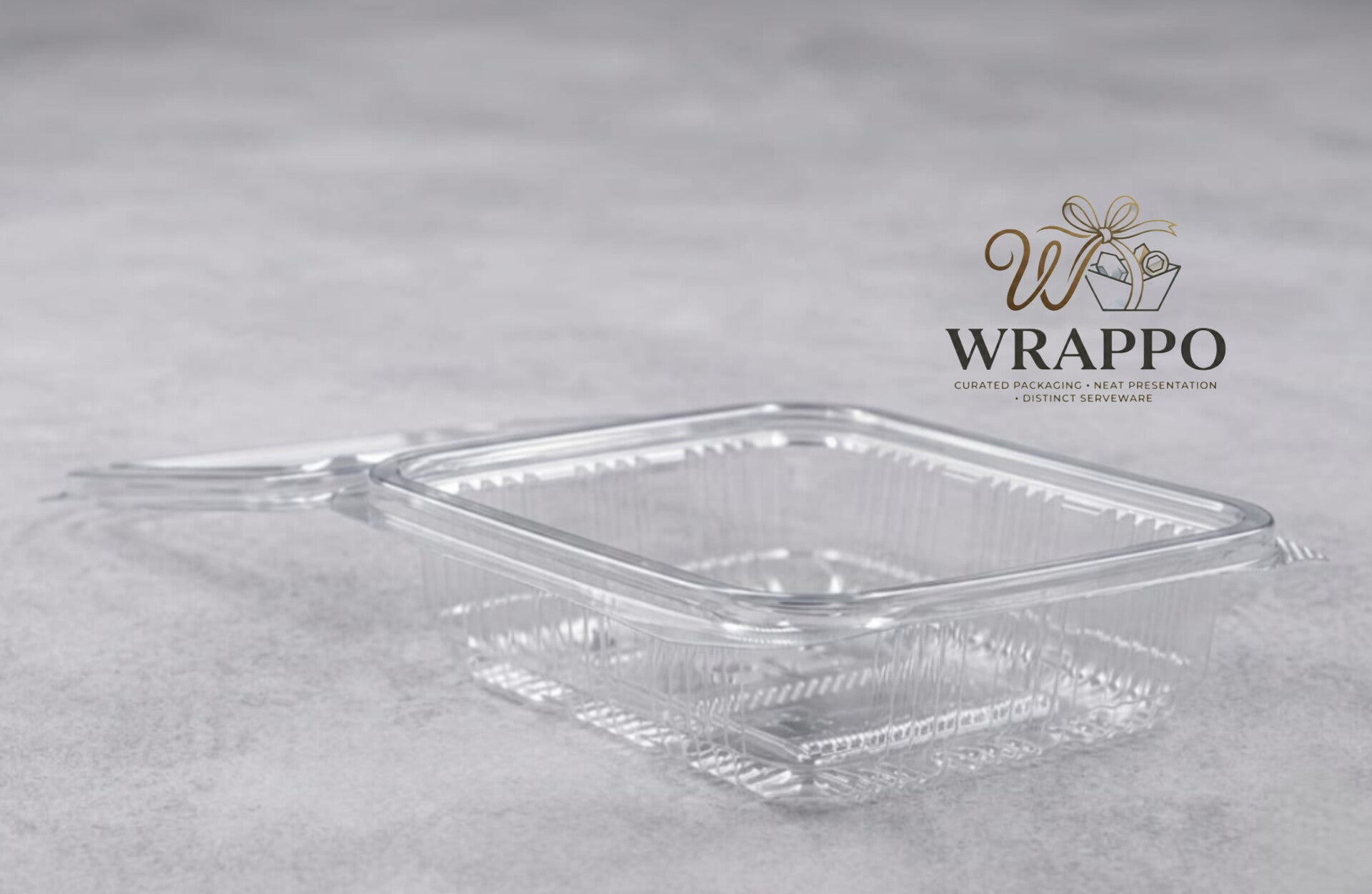 250ml Hinged Box for Food Packaging – Wrappo