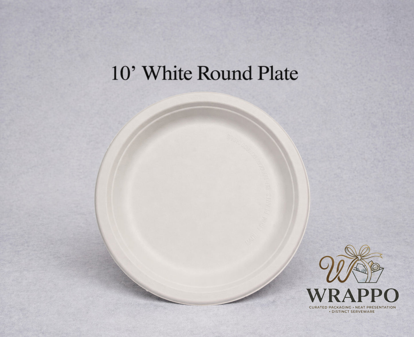 10 Inch White Round Plate